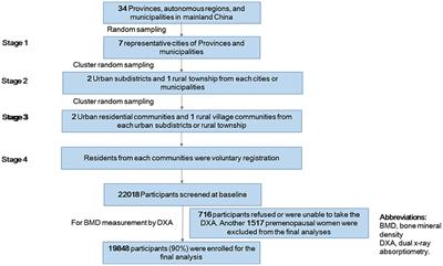 The prevalence of osteoporosis in China, a community based cohort study of osteoporosis